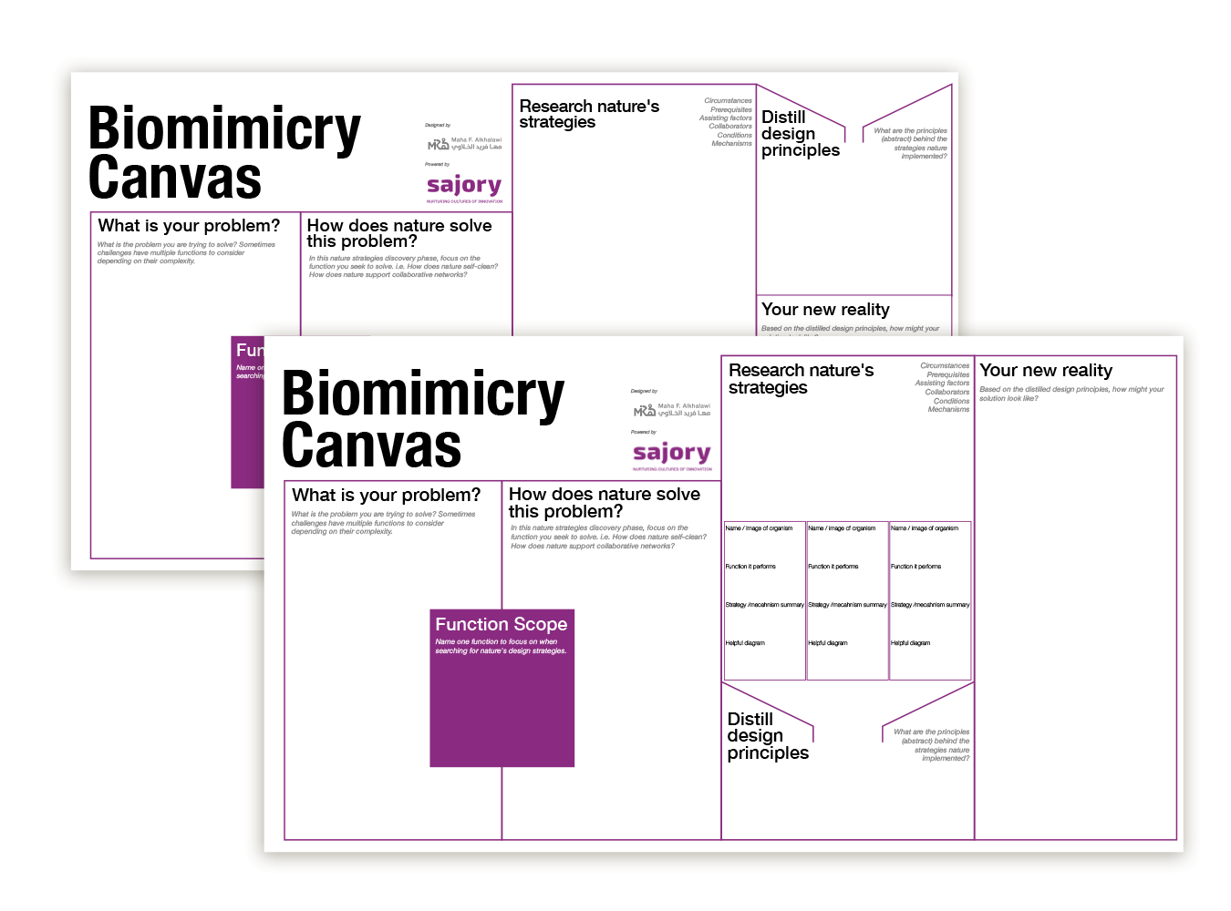 Bibiomimicry Bibiomimicry