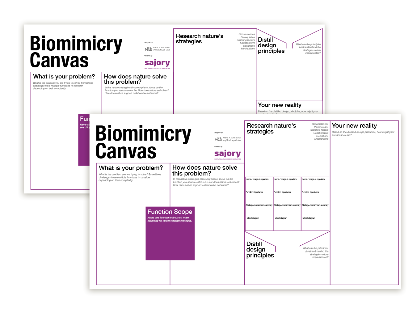 Bibiomimicry